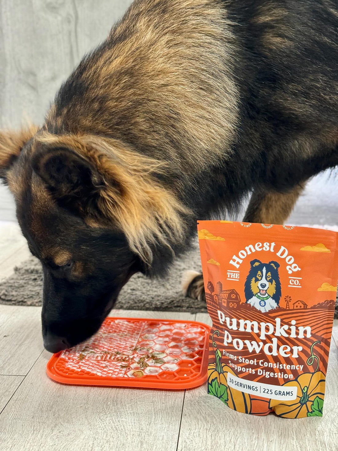 The Benefits of Pumpkin Powder for Dogs