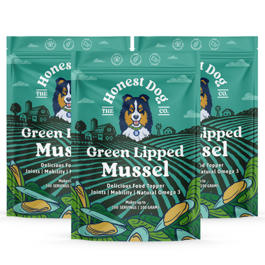 2 Pouch