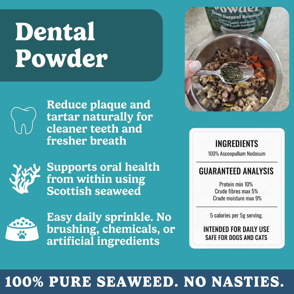 Complete Nutrition Bundle