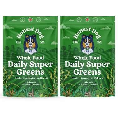 2 Pouch