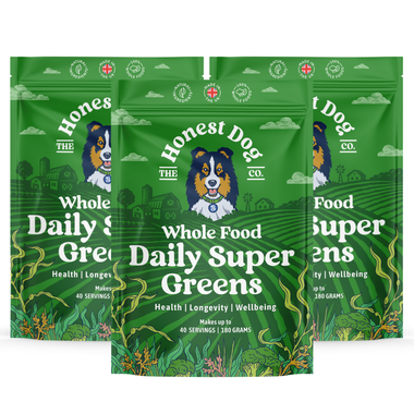 3 Pouch