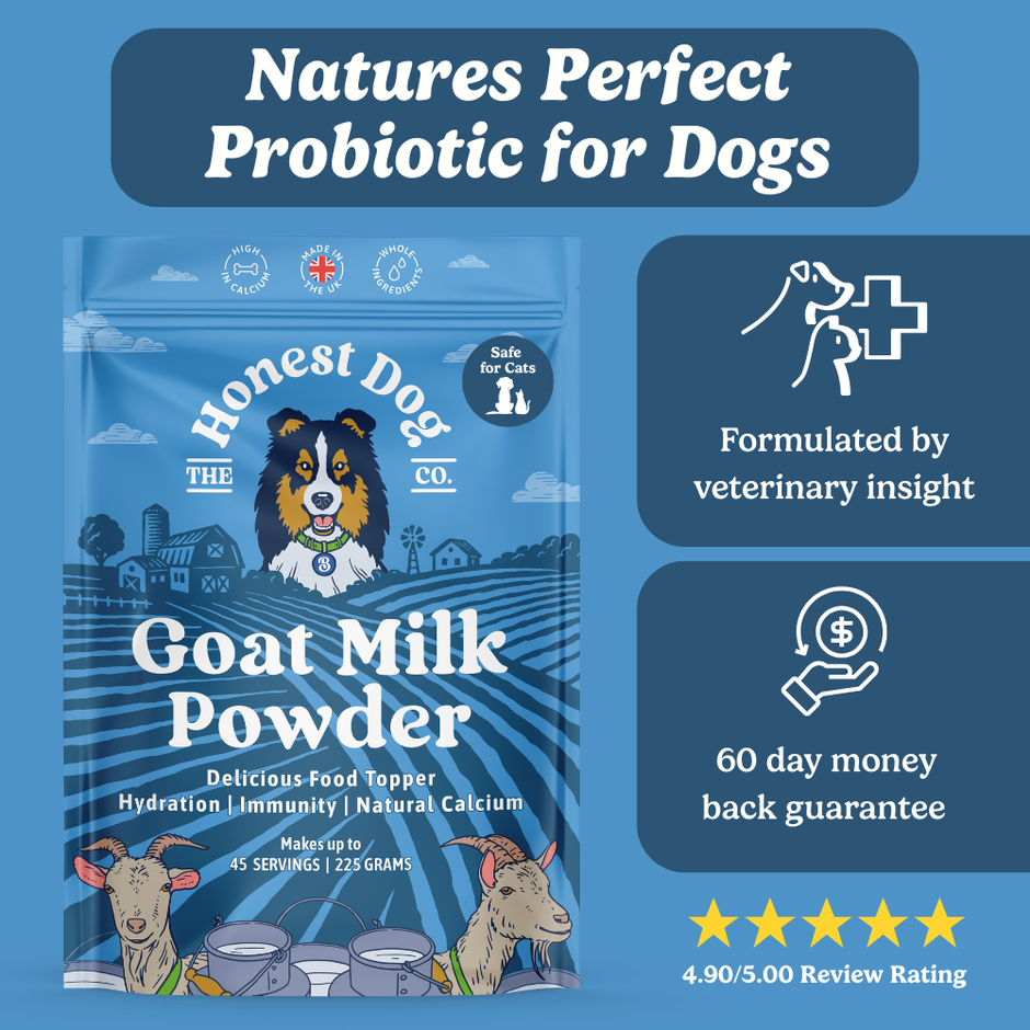 Effective Natural Dog Supplements – Honest Dog Company