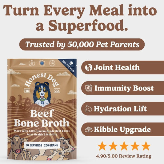 Beef Bone Broth for Dogs
