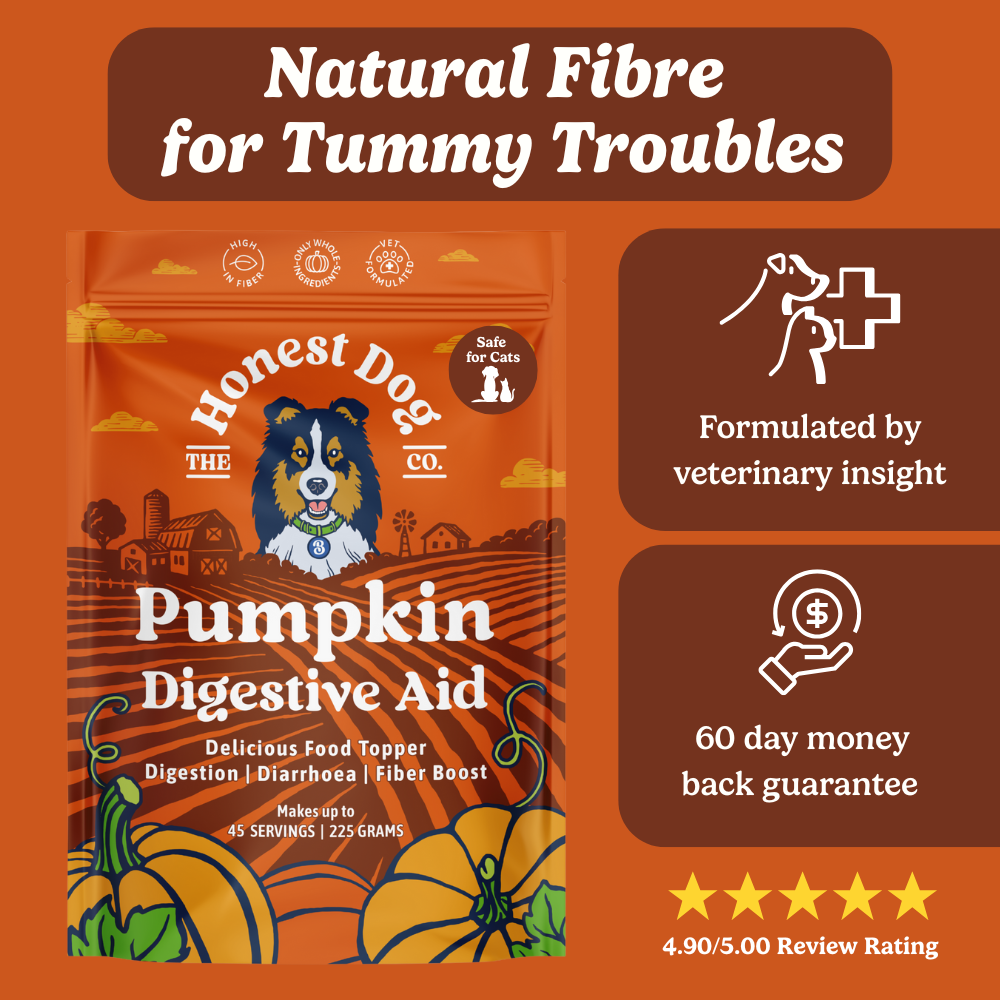 Pumpkin Digestive Aid