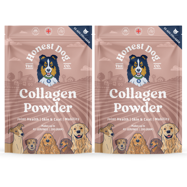 2 Pouch