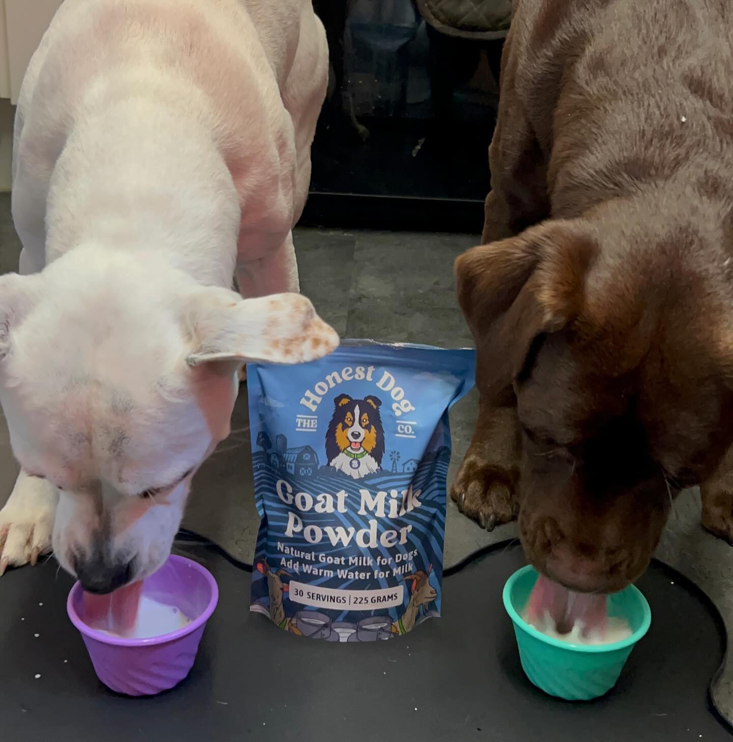 Drinking Water When Can I Give Puppies Food How Much Water Should