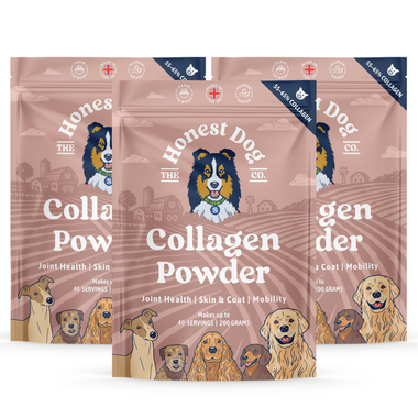3 Pouch
