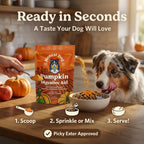 Pumpkin Digestive Aid