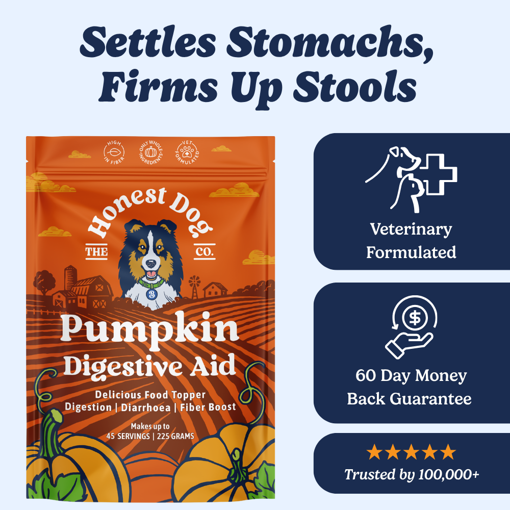 Pumpkin Digestive Aid