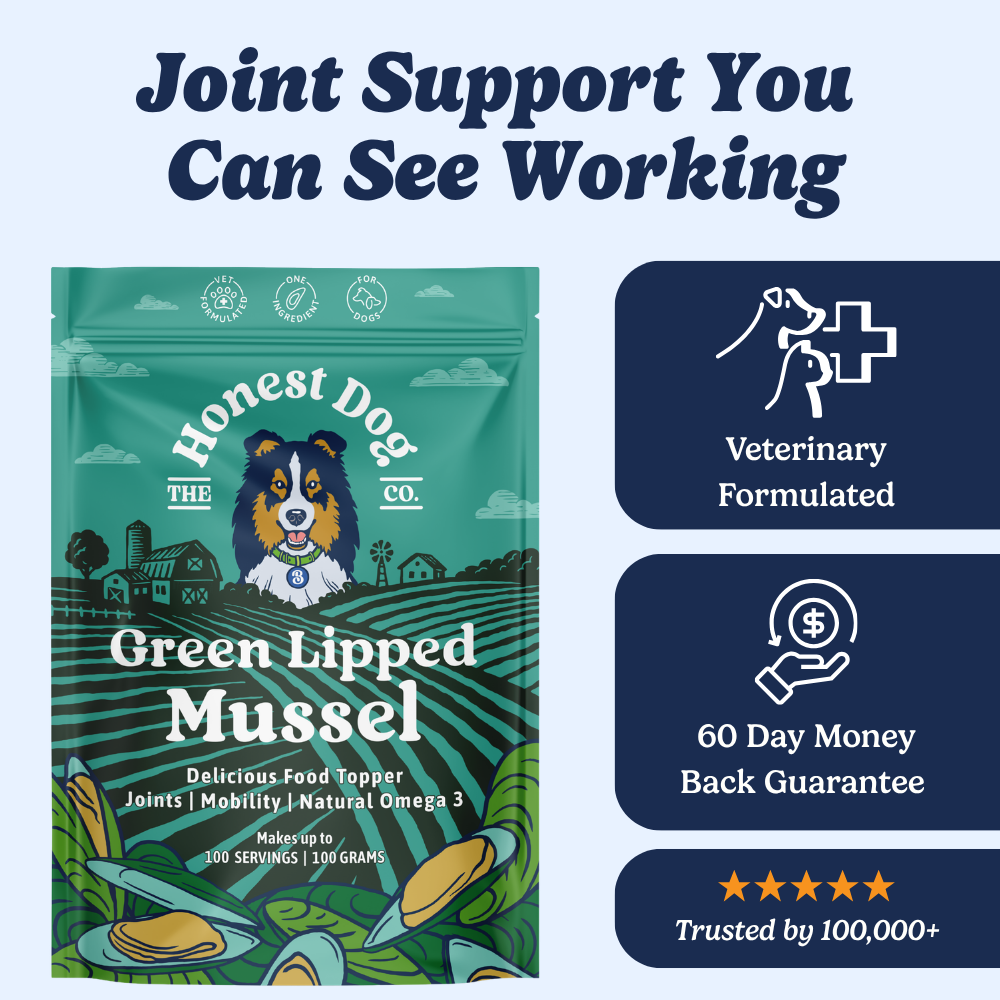 Green Lipped Mussel
