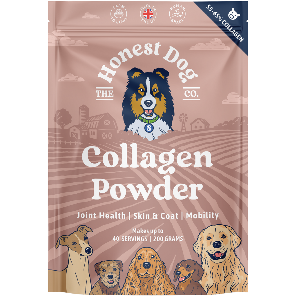Collagen Powder