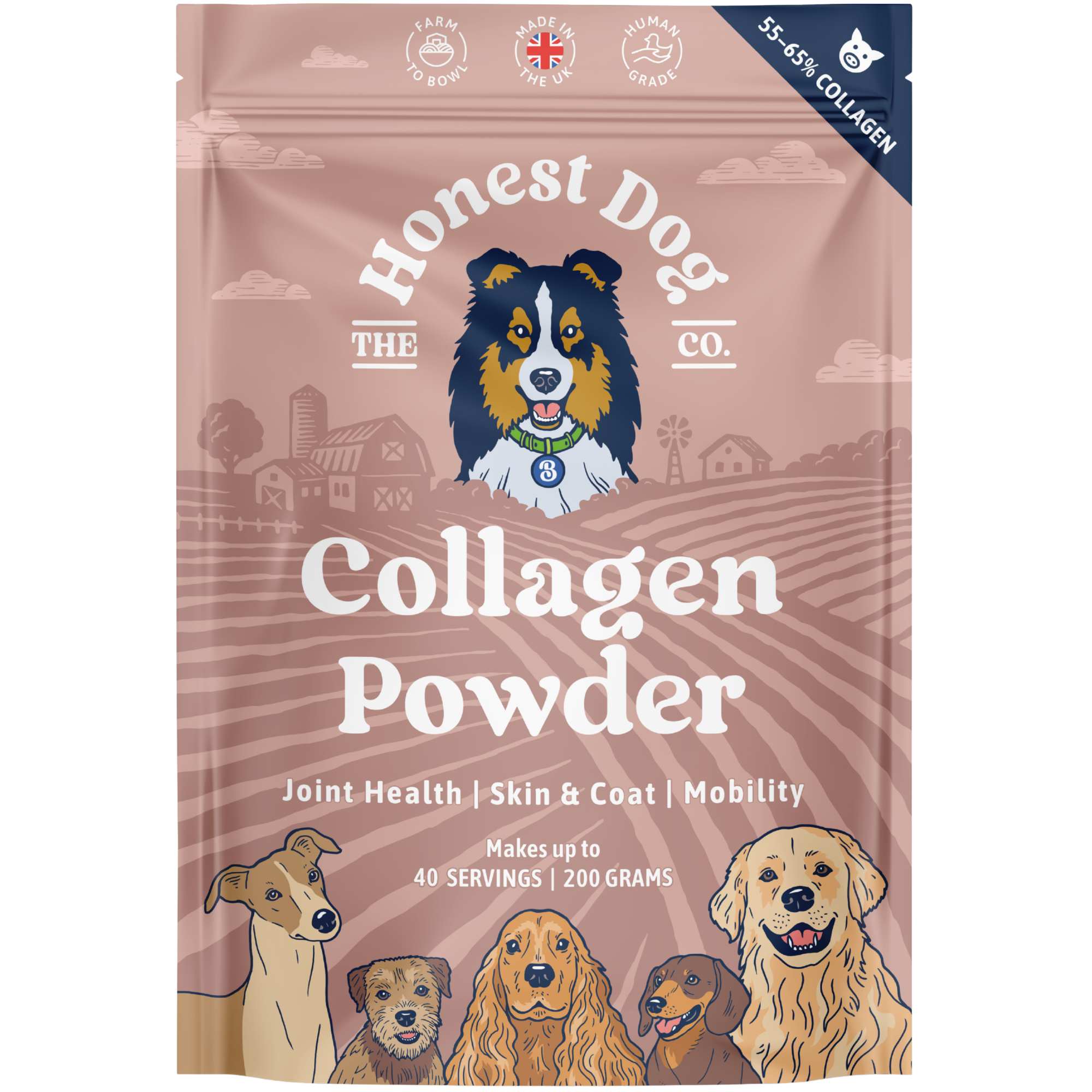 Collagen Powder