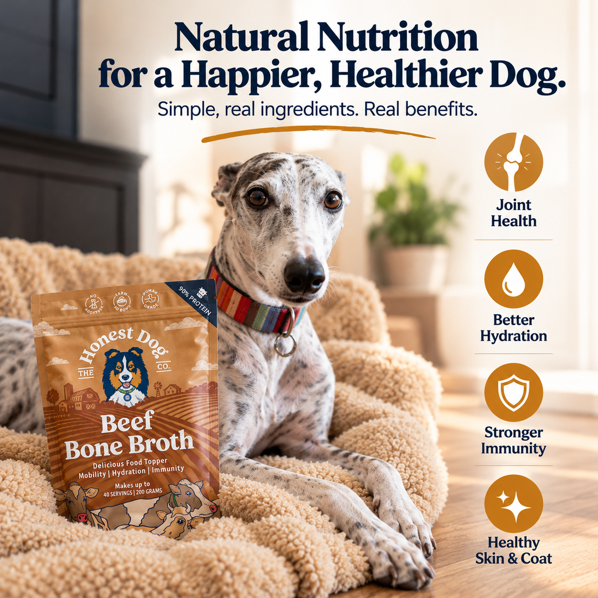 Beef Bone Broth