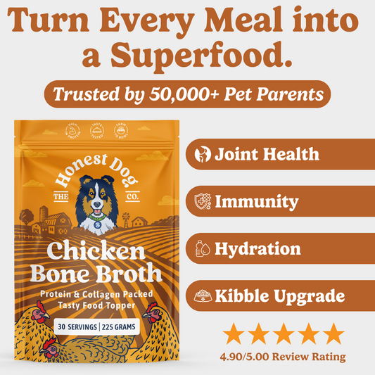 Chicken Bone Broth for Dogs