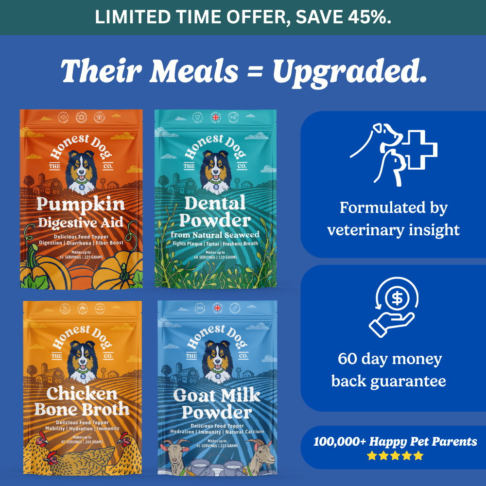 Complete Nutrition Bundle