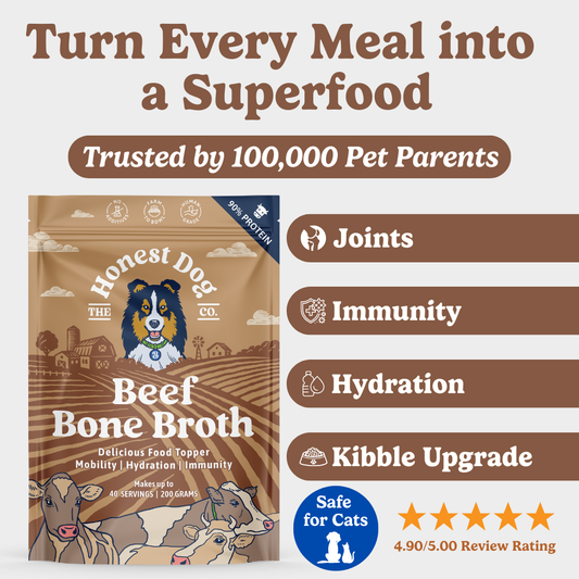 Beef Bone Broth for Dogs