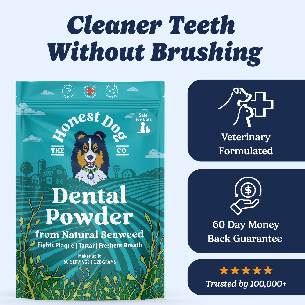 Dental Powder