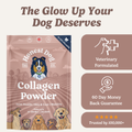 Collagen Powder
