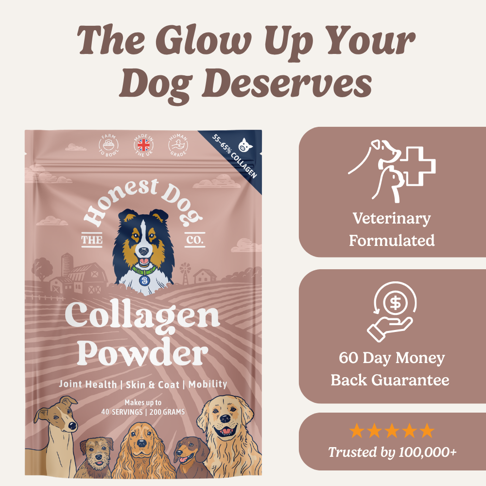 Collagen Powder