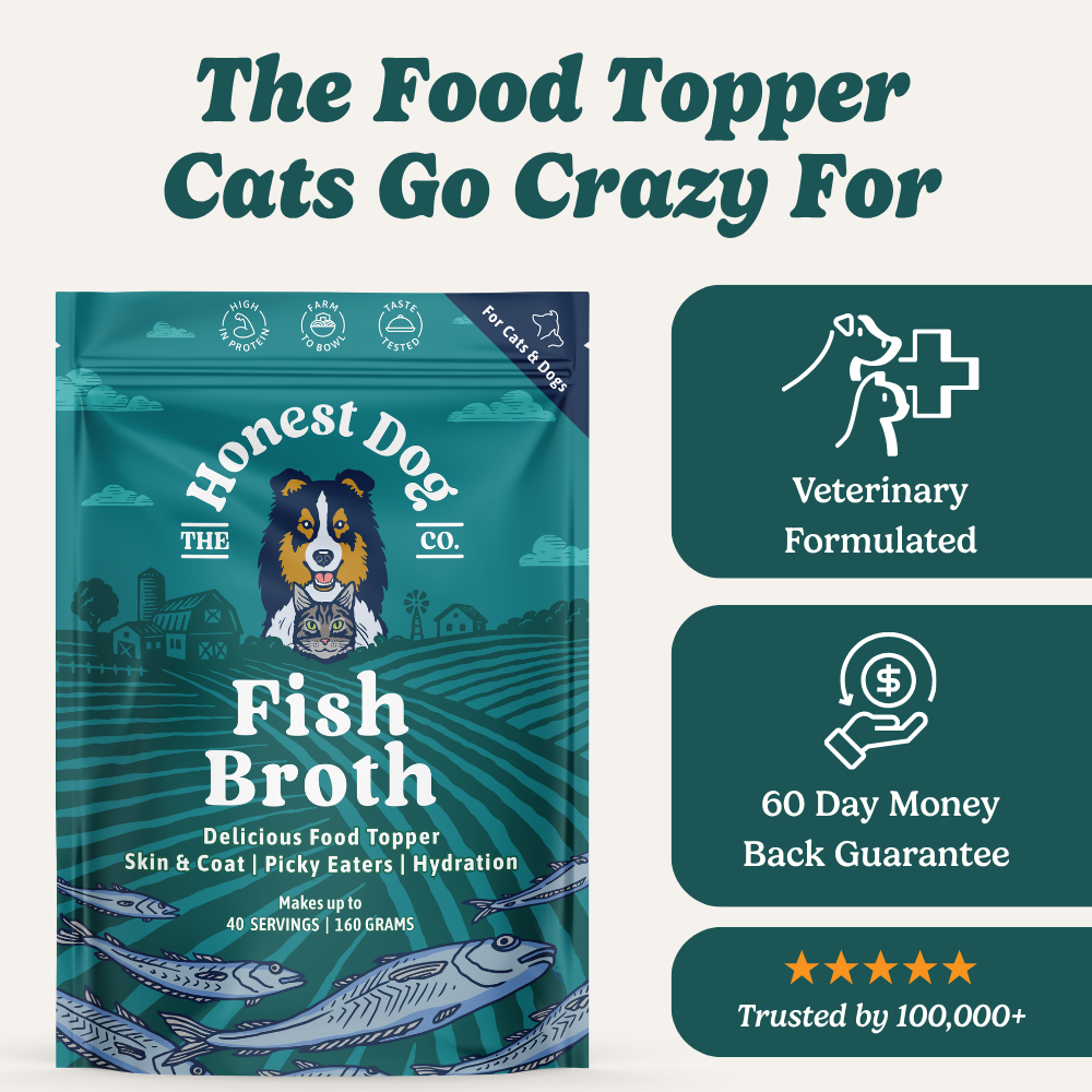 Fish Broth for Cats & Dogs