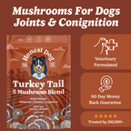 Turkey Tail Mushroom Blend for Dogs, Immune and Gut Support