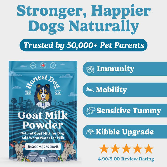 Goat Milk Powder for Dogs