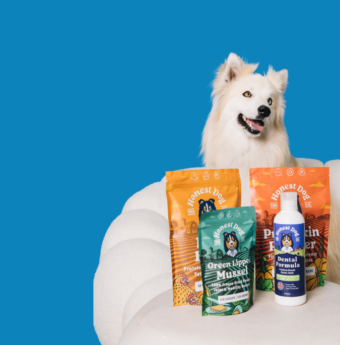 Green Lipped Mussel – Honest Dog Company
