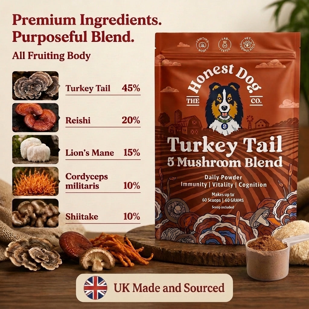 Turkey Tail Mushroom Blend for Dogs, Immune and Gut Support