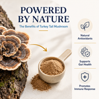 Turkey Tail Mushroom Blend for Dogs, Immune and Gut Support