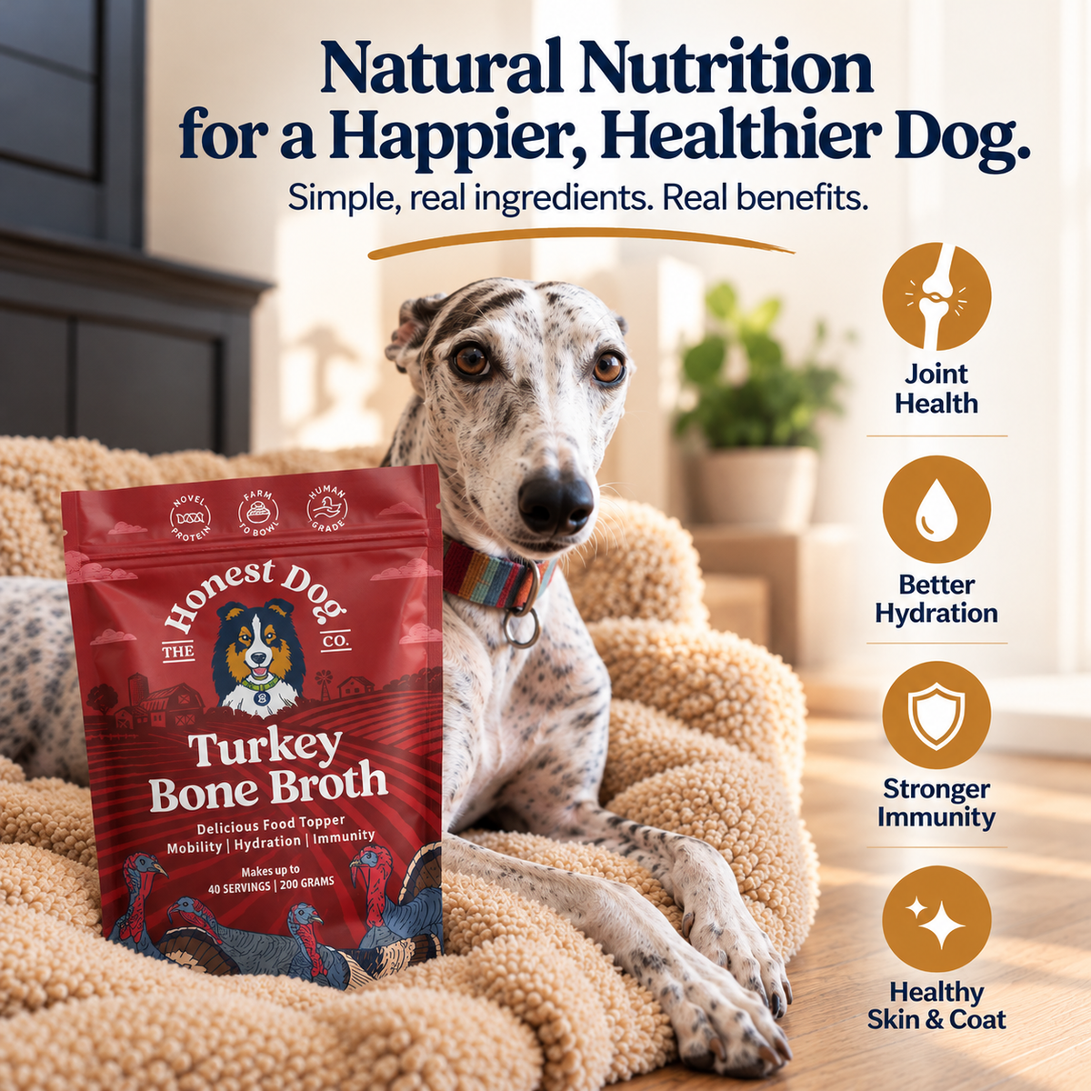 Turkey Bone Broth