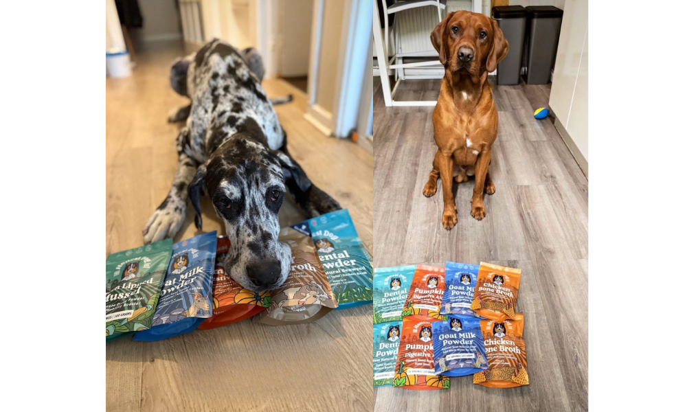 Honest Dog Company 