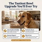 Beef Bone Broth