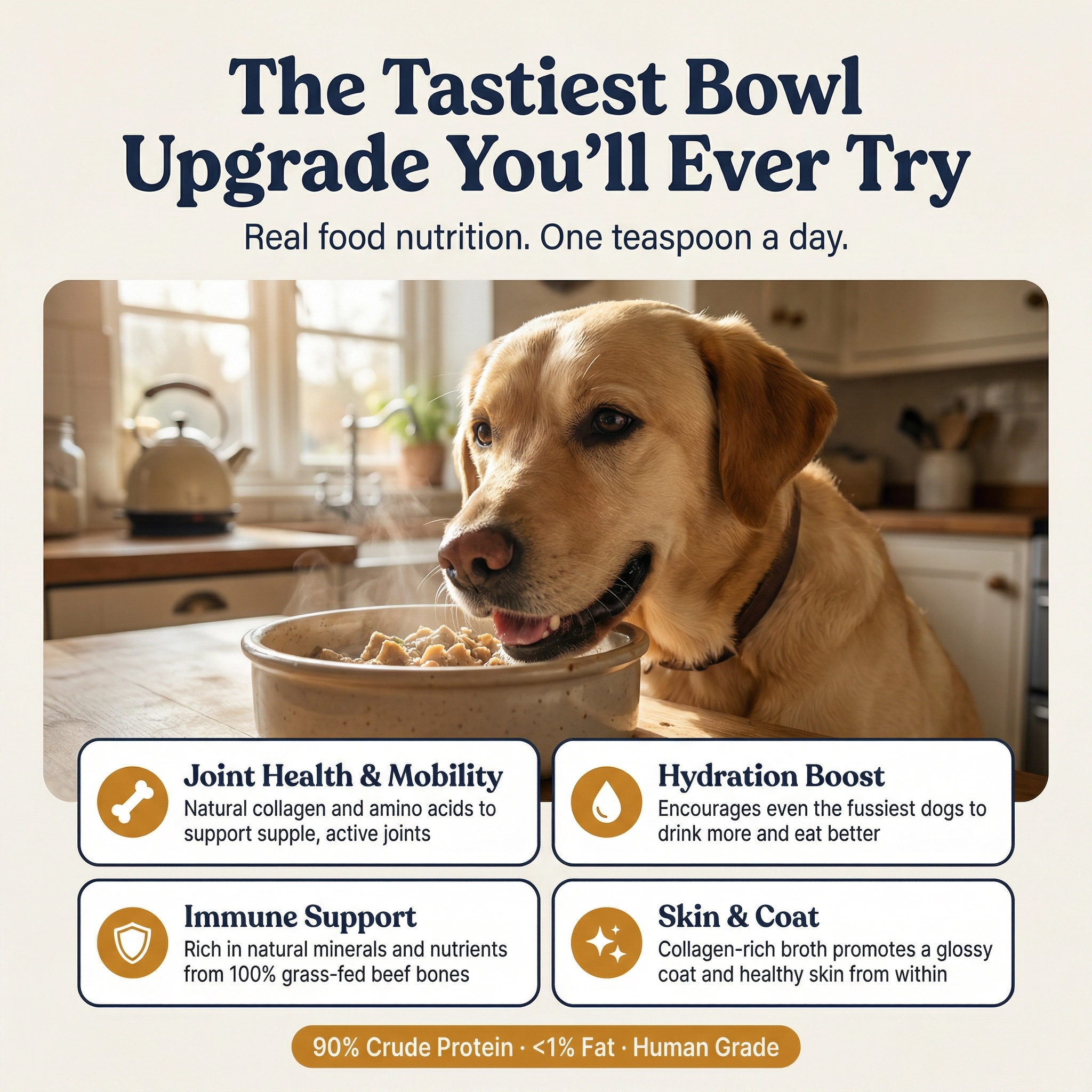 Beef Bone Broth