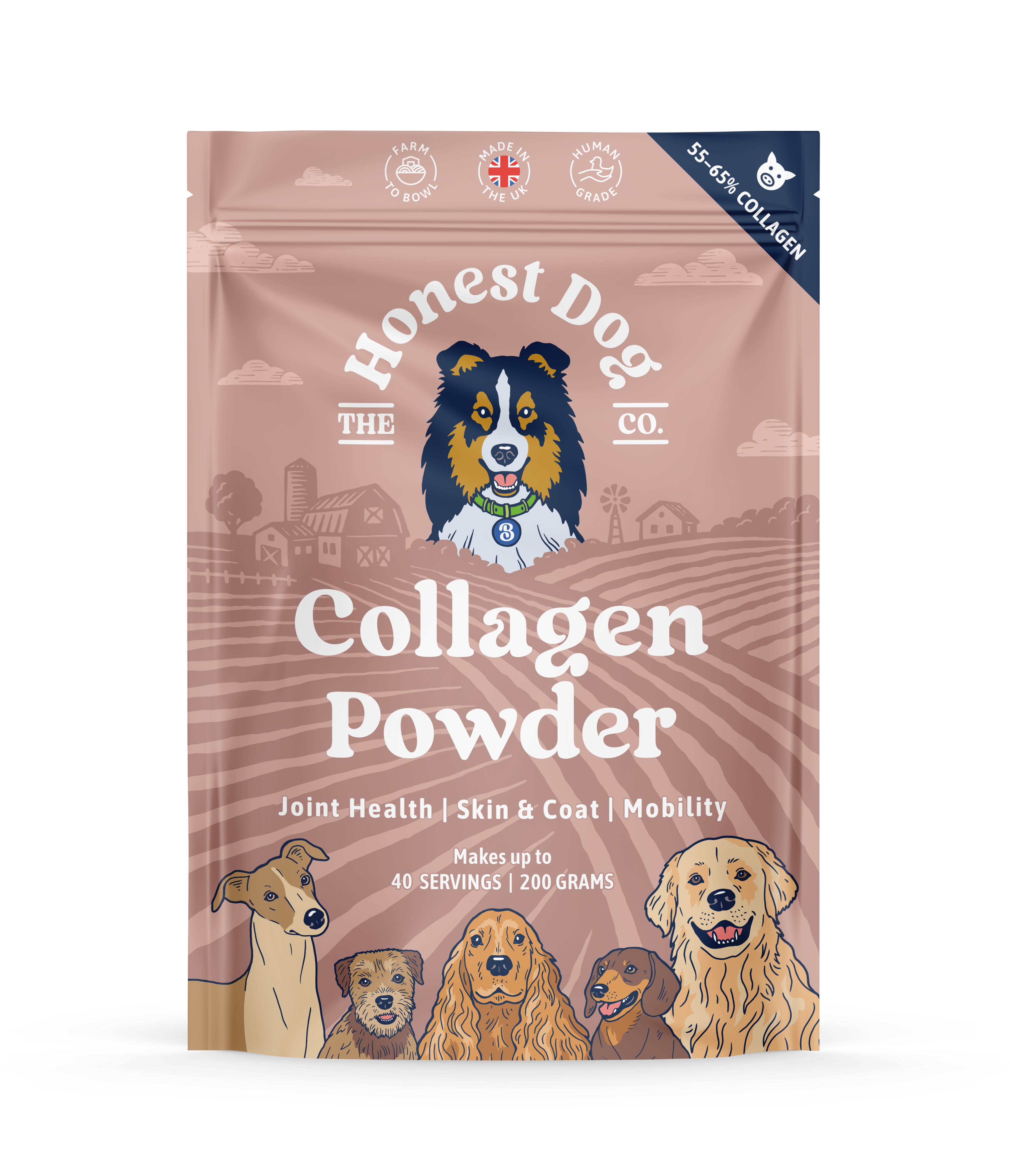 Collagen Powder