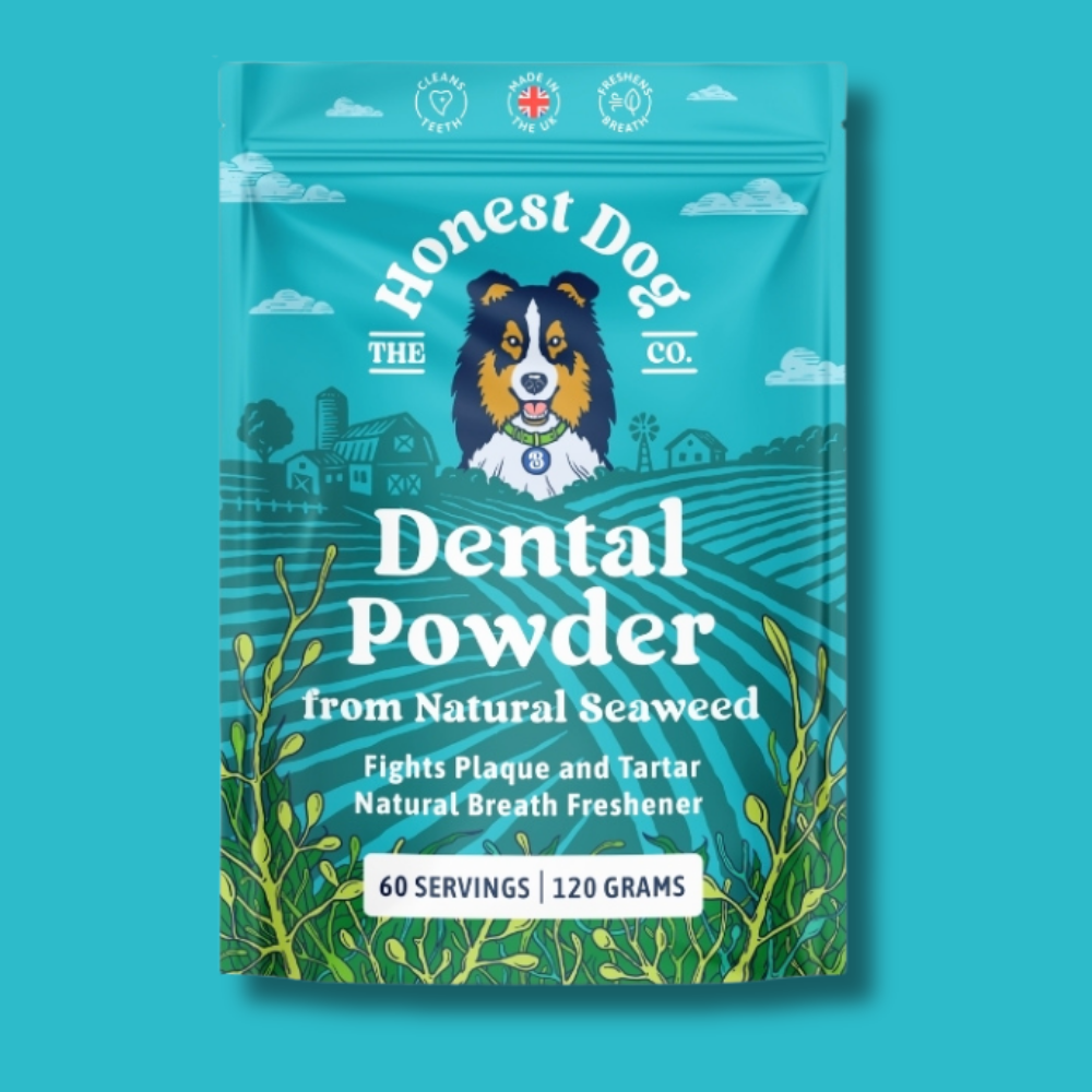 Canine Tooth Powder Dental Powder for Dogs – Honest Dog Company