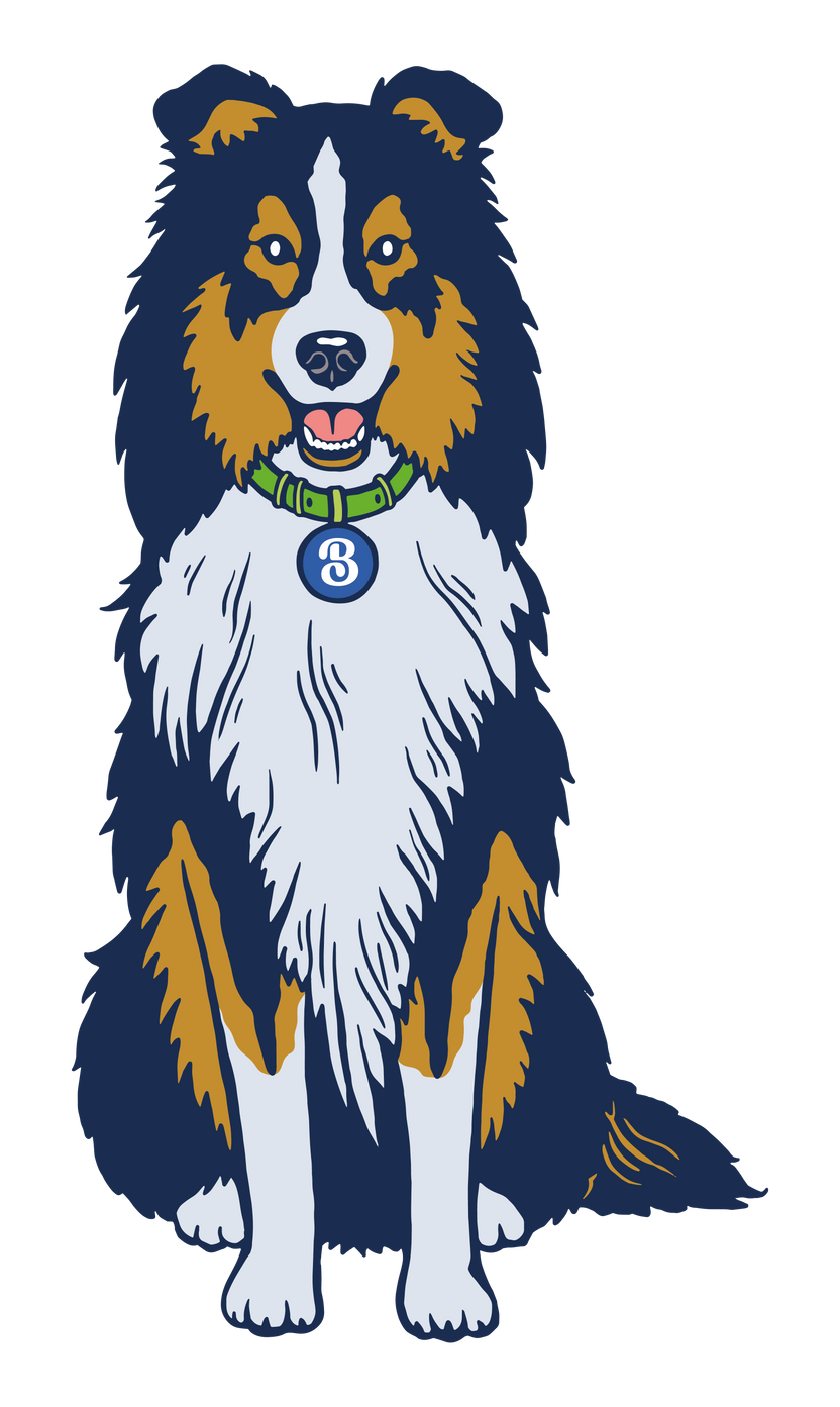 The Functional Layer for Every Dogs Bowl – Honest Dog Company