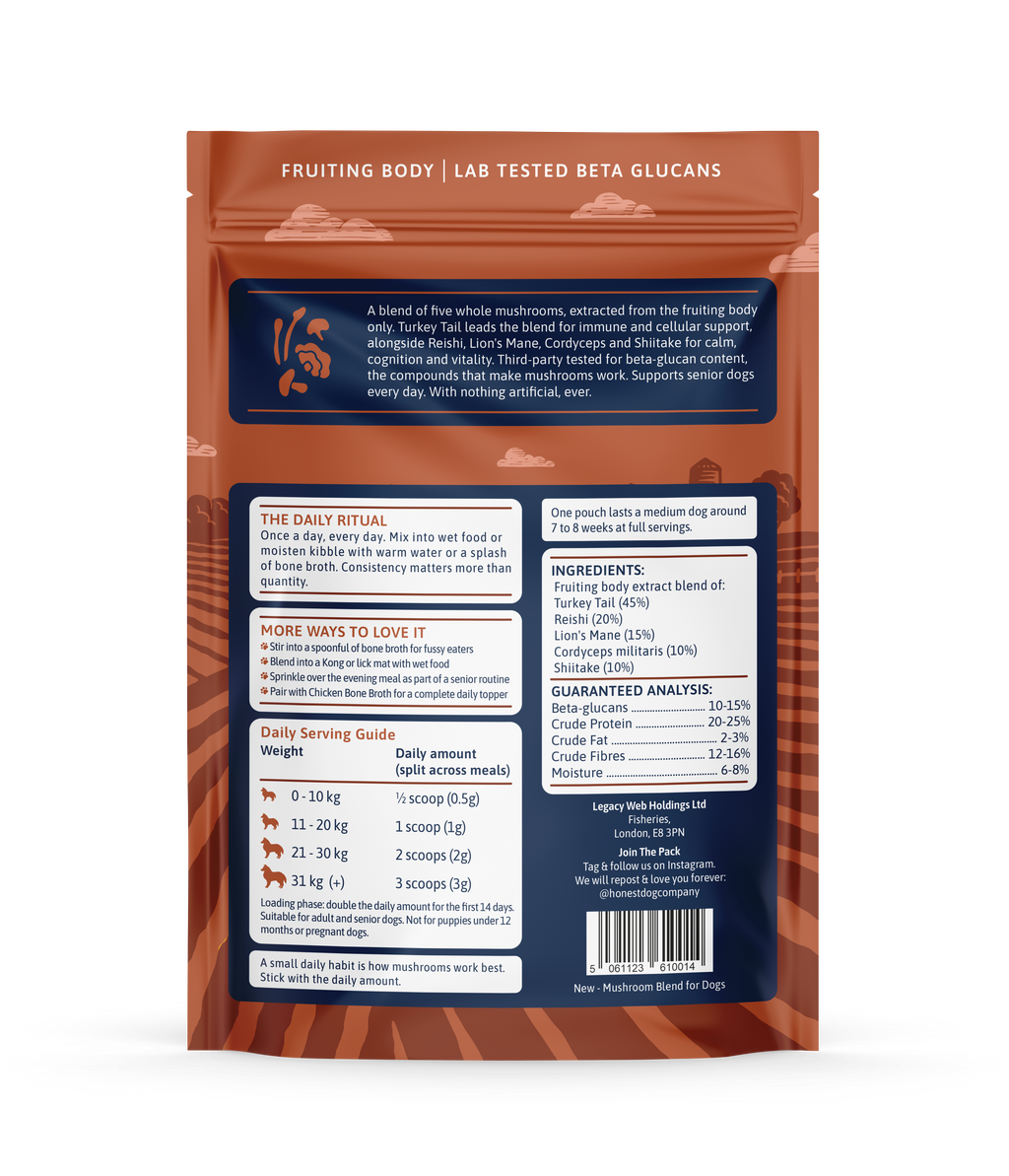 Turkey Tail Mushroom Blend for Dogs, Immune and Gut Support