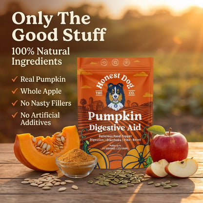 Pumpkin Digestive Aid