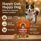 Pumpkin Digestive Aid