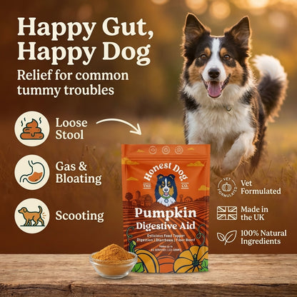 Pumpkin Digestive Aid