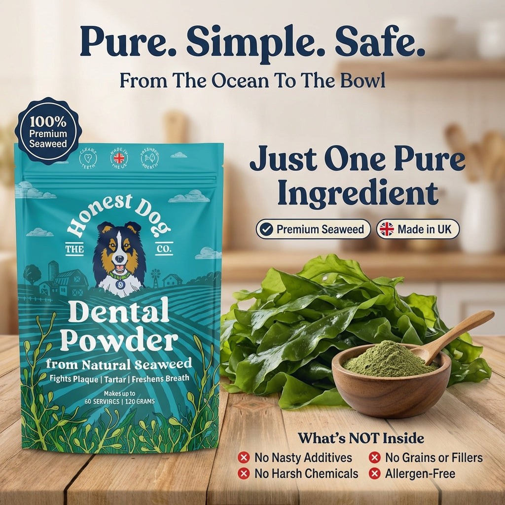 Dental Powder