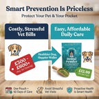 Dental Powder
