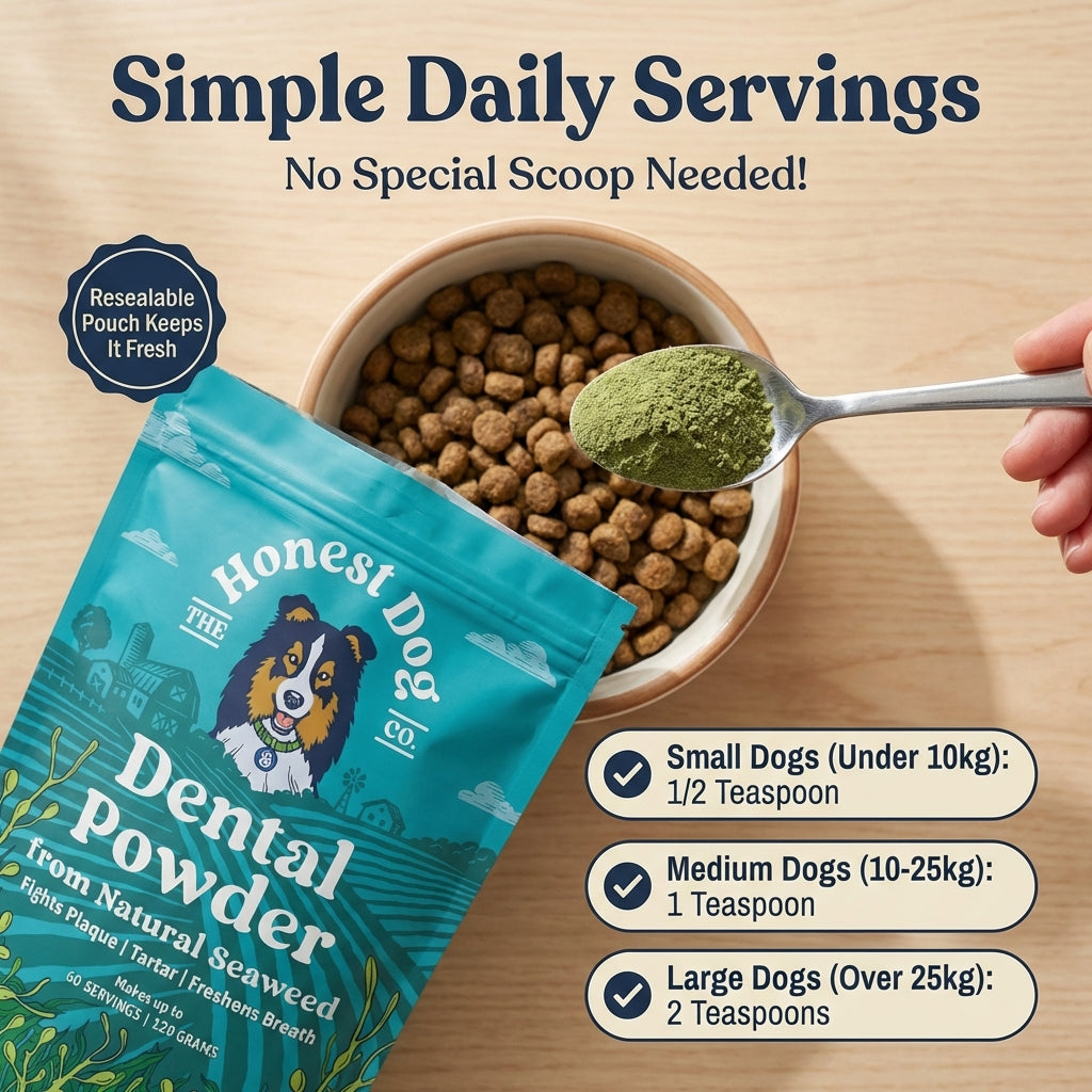 Dental Powder