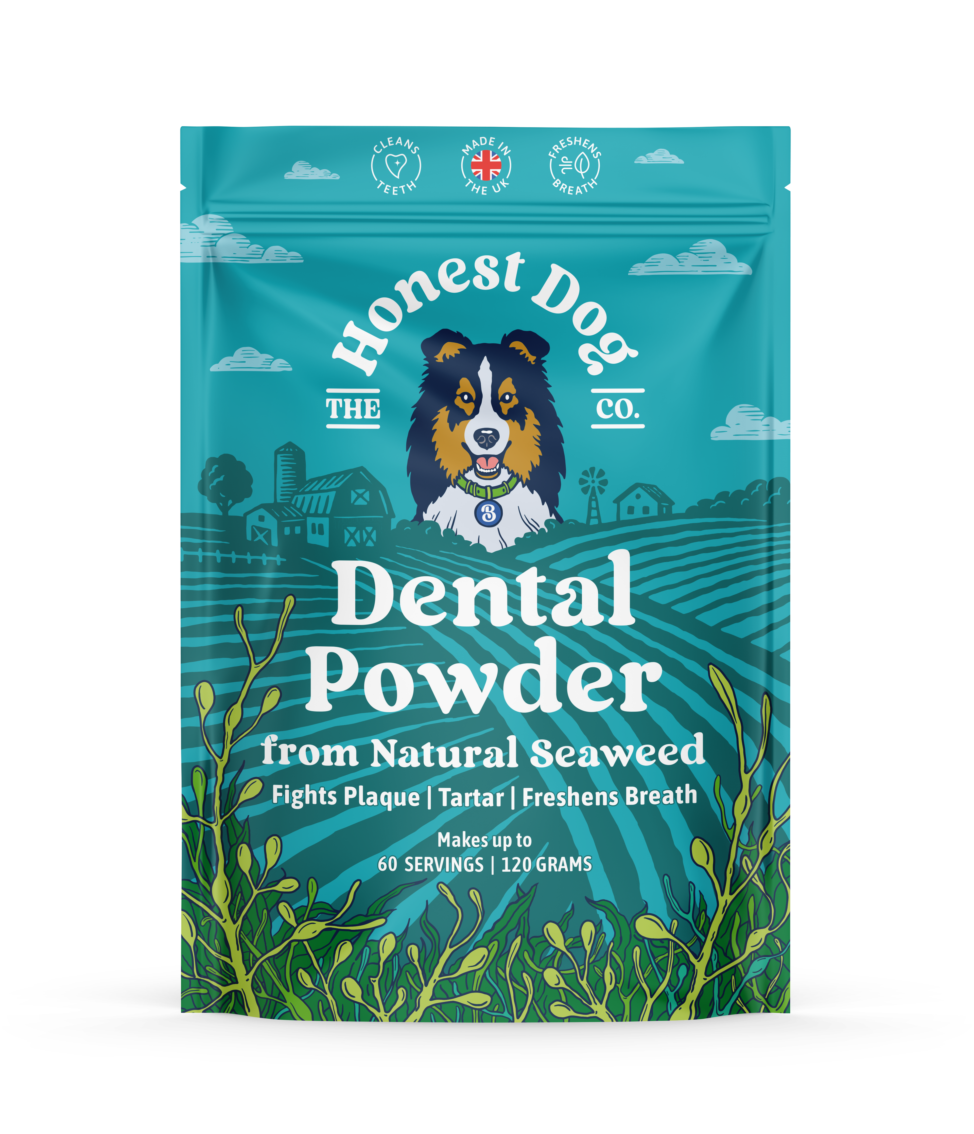 Dental Powder
